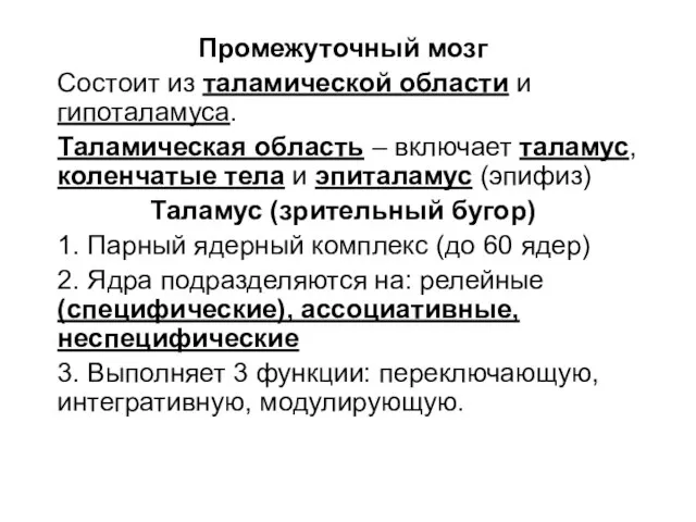 Промежуточный мозг Состоит из таламической области и гипоталамуса. Таламическая область –