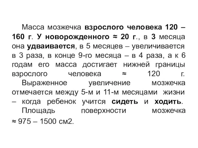 Масса мозжечка взрослого человека 120 – 160 г. У новорожденного ≈