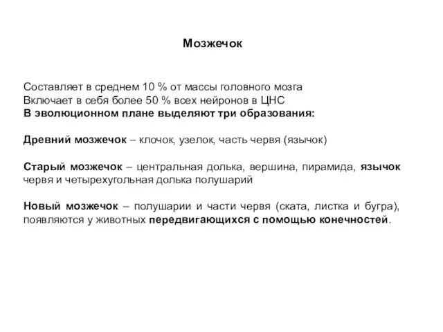 Мозжечок Составляет в среднем 10 % от массы головного мозга Включает