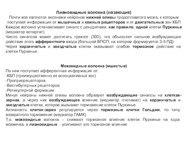 Лиановидные волокна (лазающие) Почти все являются аксонами нейронов нижней оливы продолговатого