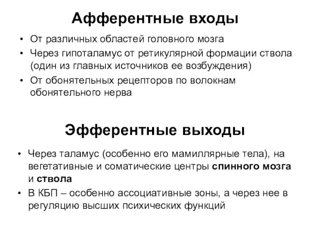 Афферентные входы От различных областей головного мозга Через гипоталамус от ретикулярной