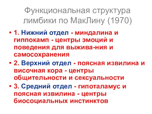 Функциональная структура лимбики по МакЛину (1970) 1. Нижний отдел - миндалина