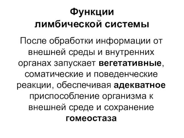 Функции лимбической системы После обработки информации от внешней среды и внутренних