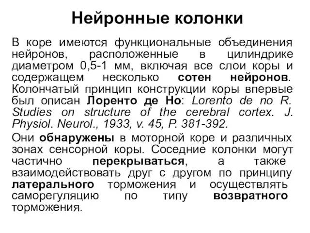 Нейронные колонки В коре имеются функциональные объединения нейронов, расположенные в цилиндрике