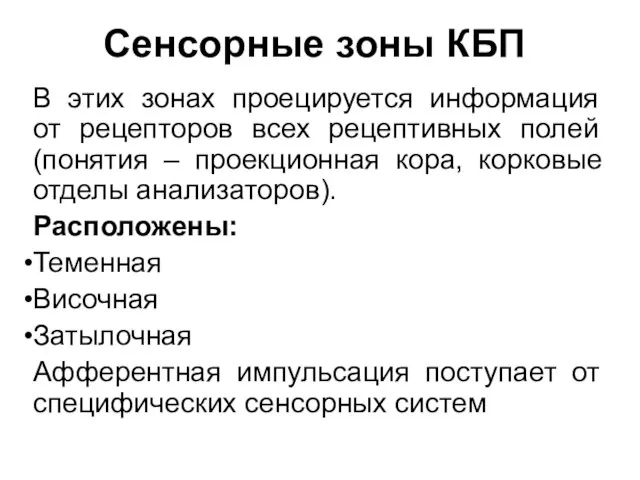 Сенсорные зоны КБП В этих зонах проецируется информация от рецепторов всех