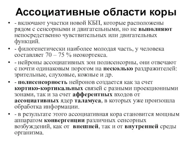 Ассоциативные области коры - включают участки новой КБП, которые расположены рядом