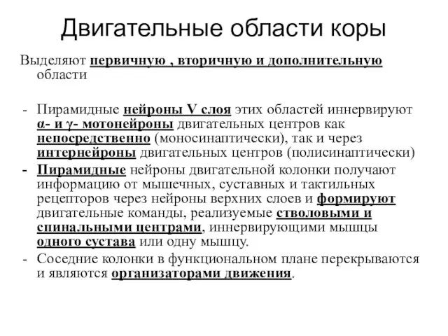 Двигательные области коры Выделяют первичную , вторичную и дополнительную области Пирамидные