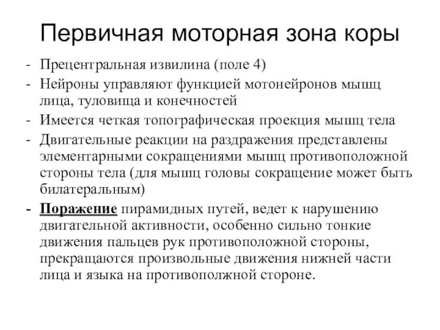 Первичная моторная зона коры Прецентральная извилина (поле 4) Нейроны управляют функцией