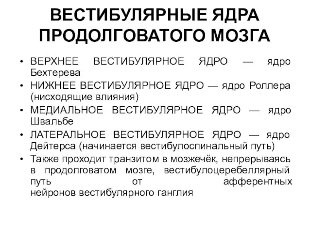 ВЕСТИБУЛЯРНЫЕ ЯДРА ПРОДОЛГОВАТОГО МОЗГА ВЕРХНЕЕ ВЕСТИБУЛЯРНОЕ ЯДРО — ядро Бехтерева НИЖНЕЕ