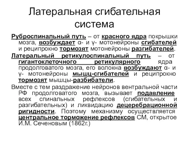 Латеральная сгибательная система Руброспинальный путь – от красного ядра покрышки мозга,