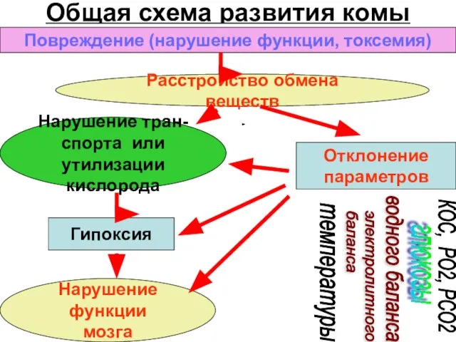 Общая схема развития комы . Повреждение (нарушение функции, токсемия) Расстройство обмена