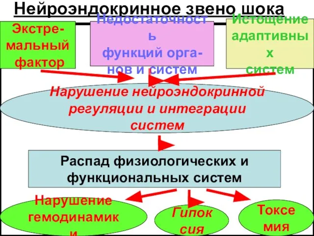 Нейроэндокринное звено шока Экстре- мальный фактор Недостаточность функций орга- нов и