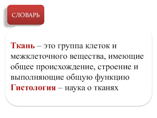 СЛОВАРЬ Ткань – это группа клеток и межклеточного вещества, имеющие общее