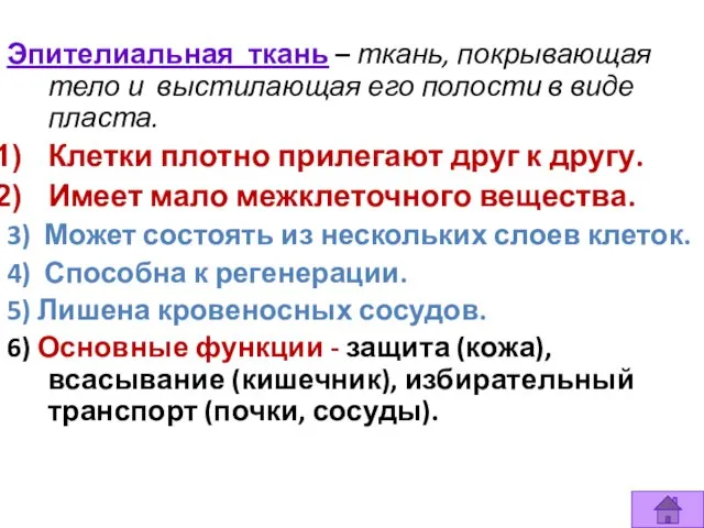 Эпителиальная ткань – ткань, покрывающая тело и выстилающая его полости в