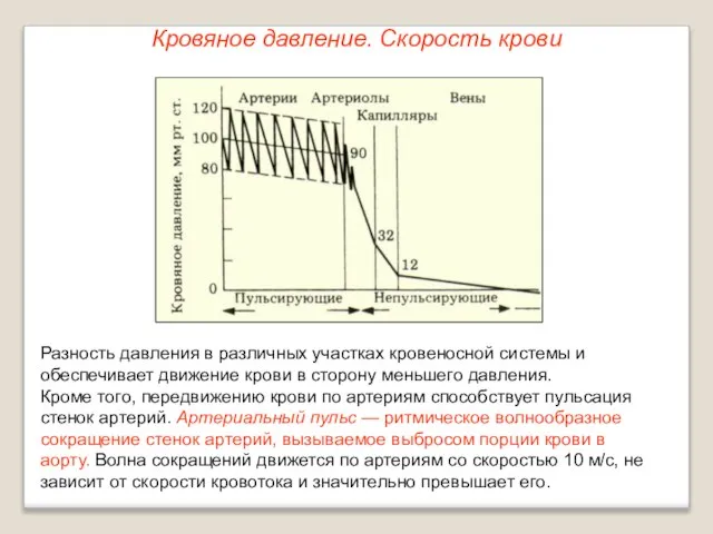 Кровяное давление. Скорость крови Разность давления в различных участках кровеносной системы