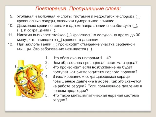 Повторение. Пропущенные слова: Угольная и молочная кислоты, гистамин и недостаток кислорода