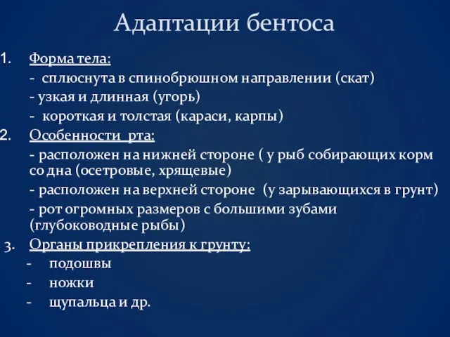 Адаптации бентоса Форма тела: - сплюснута в спинобрюшном направлении (скат) -