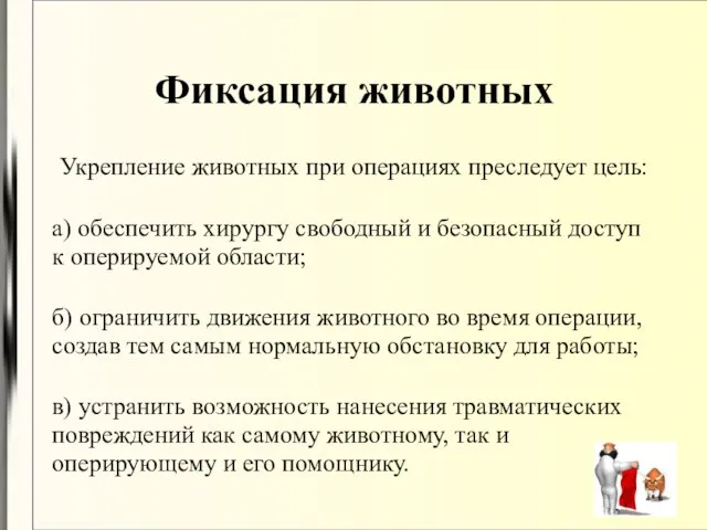 Фиксация животных Укрепление животных при операциях преследует цель: а) обеспечить хирургу