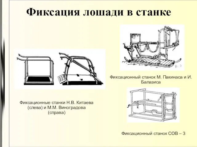 Фиксация лошади в станке Фиксационные станки Н.В. Китаева (слева) и М.М.