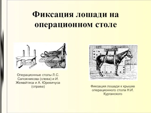 Фиксация лошади на операционном столе Операционные столы Л.С. Сапожникова (слева) и