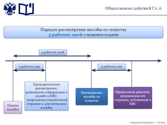 Порядок рассмотрения жалобы по существу 5 рабочих дней с момента подачи