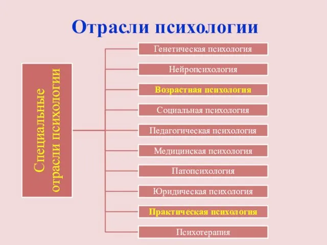 Отрасли психологии