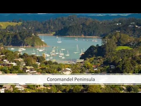 Coromandel Peninsula