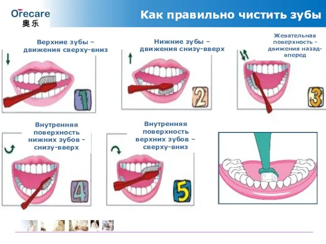 Как правильно чистить зубы Верхние зубы – движения сверху-вниз Нижние зубы