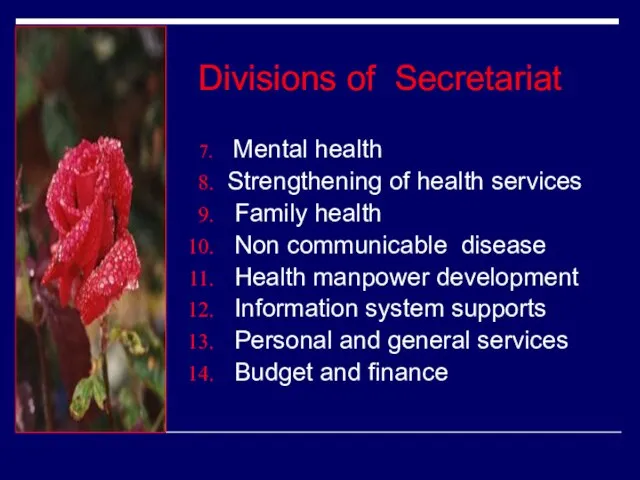 Divisions of Secretariat Mental health Strengthening of health services Family health