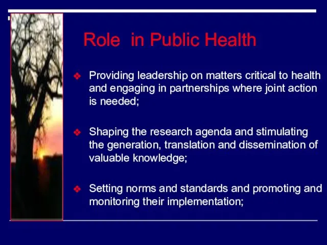 Role in Public Health Providing leadership on matters critical to health