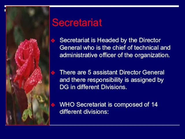 Secretariat Secretariat is Headed by the Director General who is the