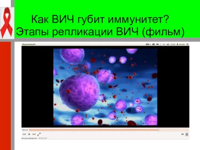 Как ВИЧ губит иммунитет? Этапы репликации ВИЧ (фильм)