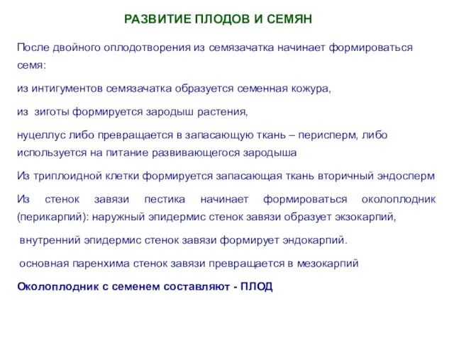 РАЗВИТИЕ ПЛОДОВ И СЕМЯН После двойного оплодотворения из семязачатка начинает формироваться