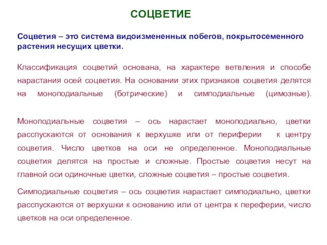 СОЦВЕТИЕ Соцветия – это система видоизмененных побегов, покрытосеменного растения несущих цветки.