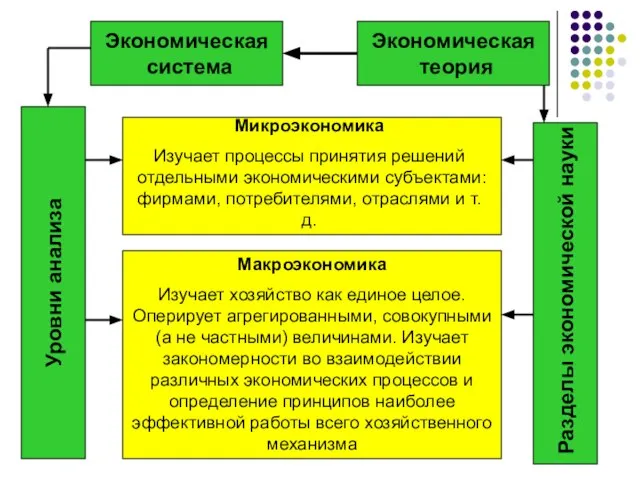 Экономическая теория Экономическая система Уровни анализа Разделы экономической науки Микроэкономика Изучает