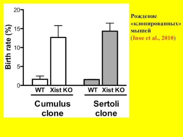 Рождение «клонированных» мышей (Inoe et al., 2010)