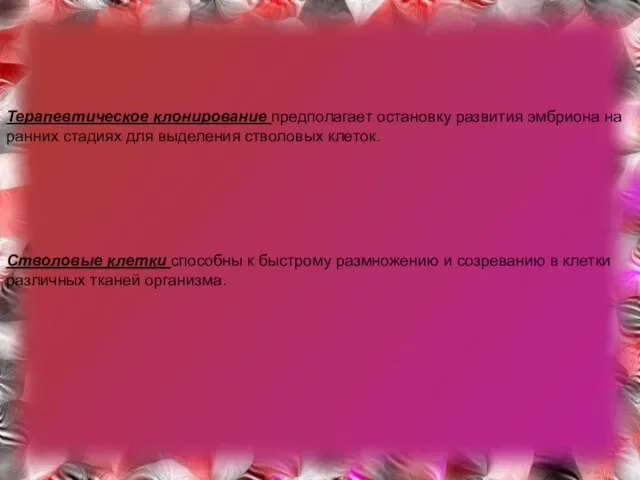 Терапевтическое клонирование предполагает остановку развития эмбриона на ранних стадиях для выделения