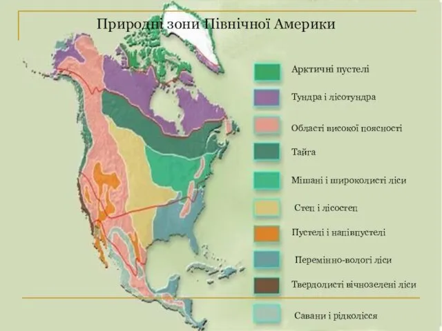 Природні зони Північної Америки Арктичні пустелі Тундра і лісотундра Області високої