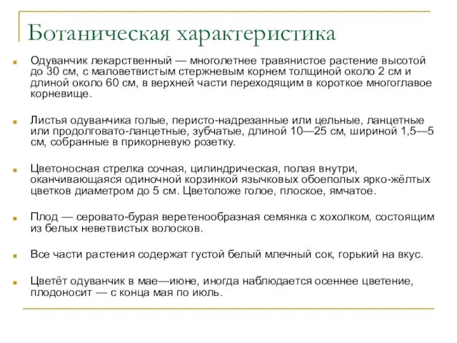 Ботаническая характеристика Одуванчик лекарственный — многолетнее травянистое растение высотой до 30