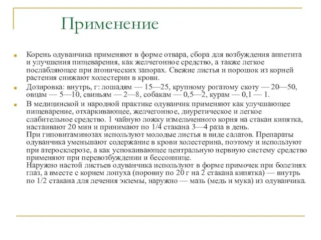 Применение Корень одуванчика применяют в форме отвара, сбора для возбуждения аппетита