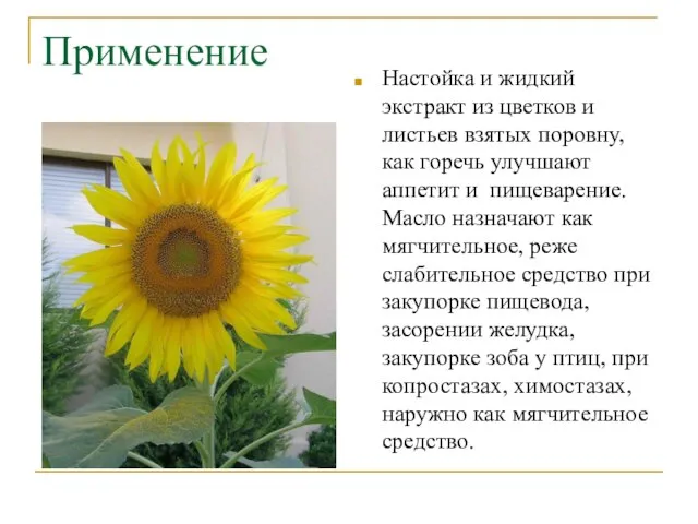 Применение Настойка и жидкий экстракт из цветков и листьев взятых поровну,