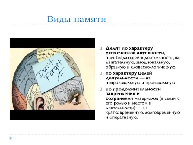 Виды памяти Делят по характеру психической активности, преобладающей в деятельности, на: