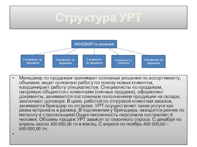 Структура УРТ Менеджер по продажам принимает основные решения по ассортименту, объемам,