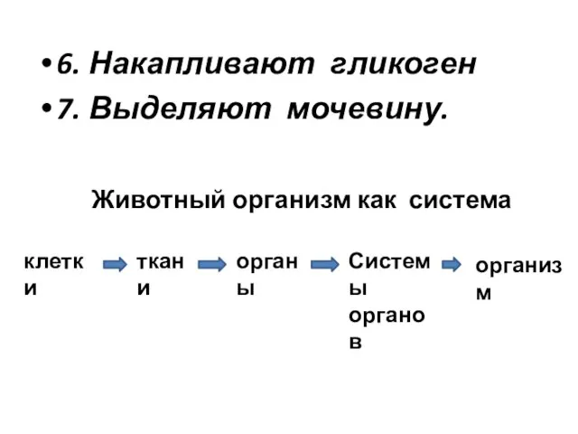 6. Накапливают гликоген 7. Выделяют мочевину. клетки ткани органы Системы органов организм Животный организм как система