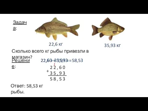 Задача: Решение: 22,6 + 35,93 = 58,53 Ответ: 58,53 кг рыбы.