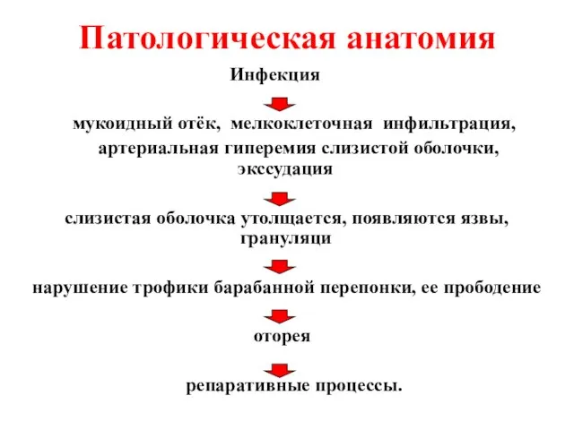 Патологическая анатомия Инфекция мукоидный отёк, мелкоклеточная инфильтрация, артериальная гиперемия слизистой оболочки,