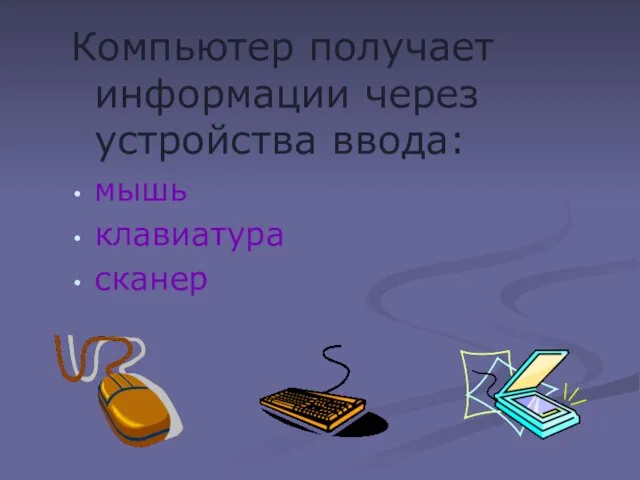 Компьютер получает информации через устройства ввода: мышь клавиатура сканер