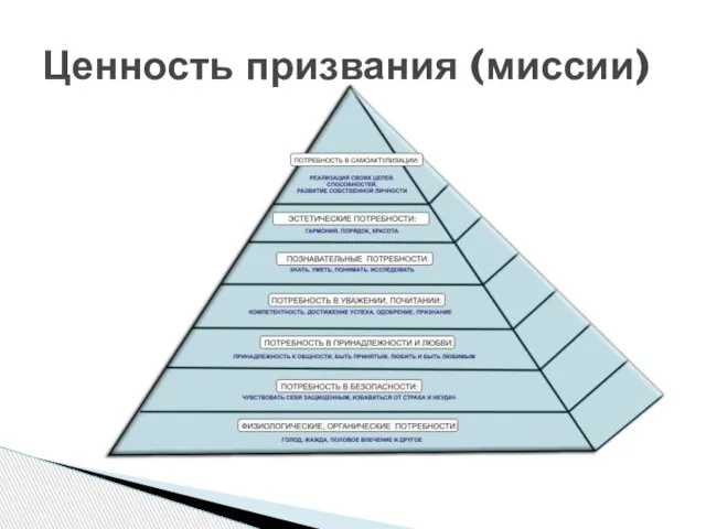 Ценность призвания (миссии)