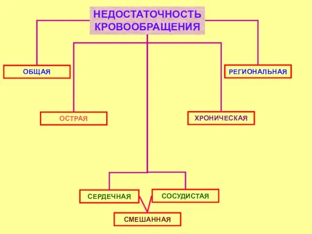 НЕДОСТАТОЧНОСТЬ КРОВООБРАЩЕНИЯ ОБЩАЯ РЕГИОНАЛЬНАЯ ОСТРАЯ ХРОНИЧЕСКАЯ СМЕШАННАЯ СОСУДИСТАЯ СЕРДЕЧНАЯ