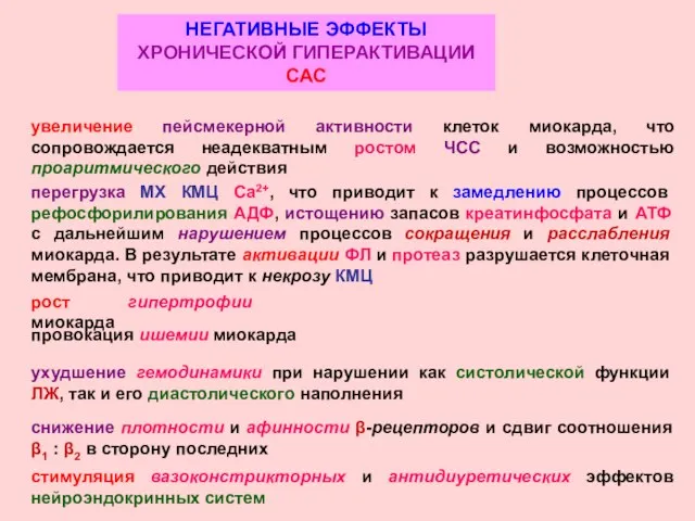 НЕГАТИВНЫЕ ЭФФЕКТЫ ХРОНИЧЕСКОЙ ГИПЕРАКТИВАЦИИ САС увеличение пейсмекерной активности клеток миокарда, что